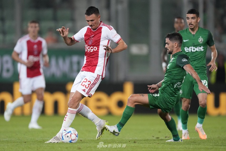 型的现实阶 型的现实阶